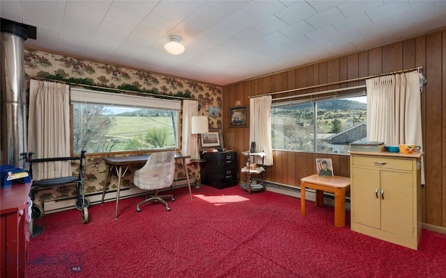 209 E Idaho St, Virginia City, MT 59755 - photo 13