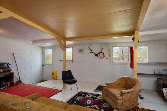 209 E Idaho St, Virginia City, MT 59755 - photo 24