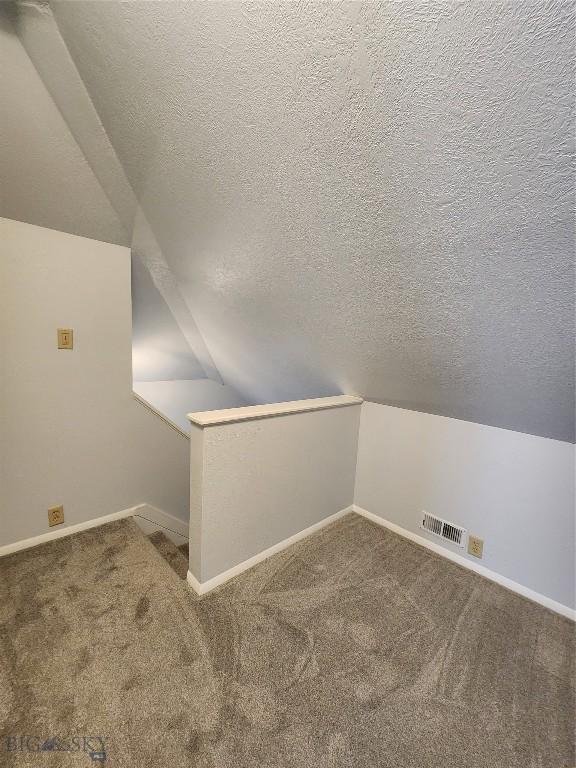 additional living space featuring vaulted ceiling, carpet floors, a textured ceiling, and baseboards