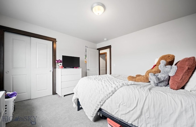 705 Halfpipe St Unit B, Belgrade, MT 59714 - bedroom with carpet floors and a closet