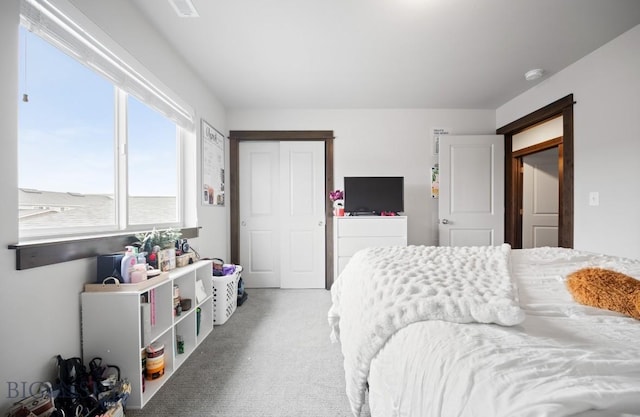 705 Halfpipe St Unit B, Belgrade, MT 59714 - view of carpeted bedroom