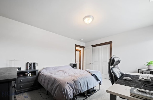 705 Halfpipe St Unit B, Belgrade, MT 59714 - bedroom with carpet, a closet, and a desk