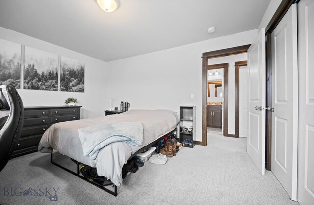 705 Halfpipe St Unit B, Belgrade, MT 59714 - view of carpeted bedroom