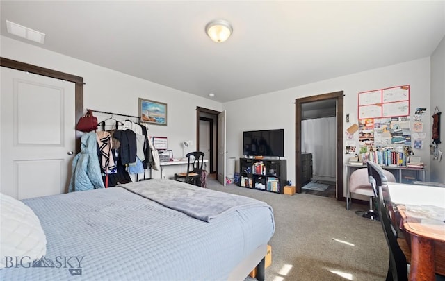 705 Halfpipe St Unit B, Belgrade, MT 59714 - bedroom with carpet