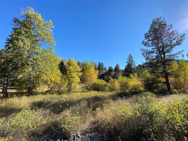 101 W Bridger Creek Rd, Big Timber, MT 59011 - view of local wilderness