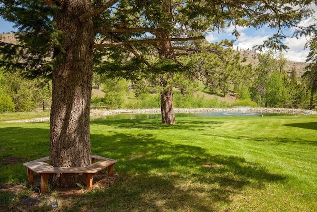 101 W Bridger Creek Rd, Big Timber, MT 59011 - view of grassy yard with a water view
