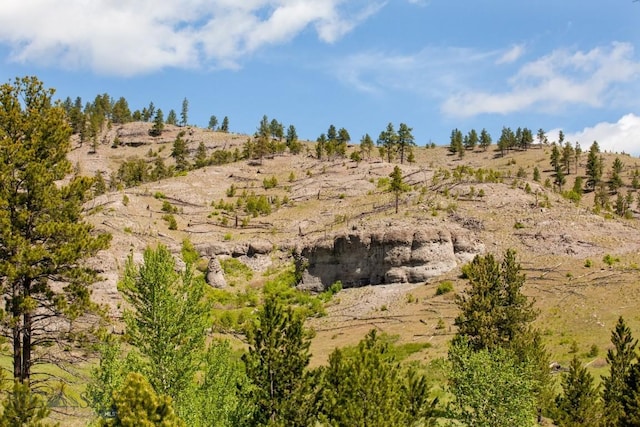 101 W Bridger Creek Rd, Big Timber, MT 59011 - view of nature
