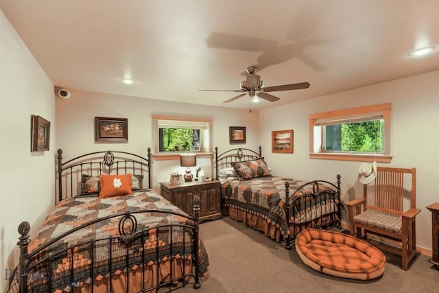101 W Bridger Creek Rd, Big Timber, MT 59011 - bedroom with carpet, multiple windows, ceiling fan, and recessed lighting