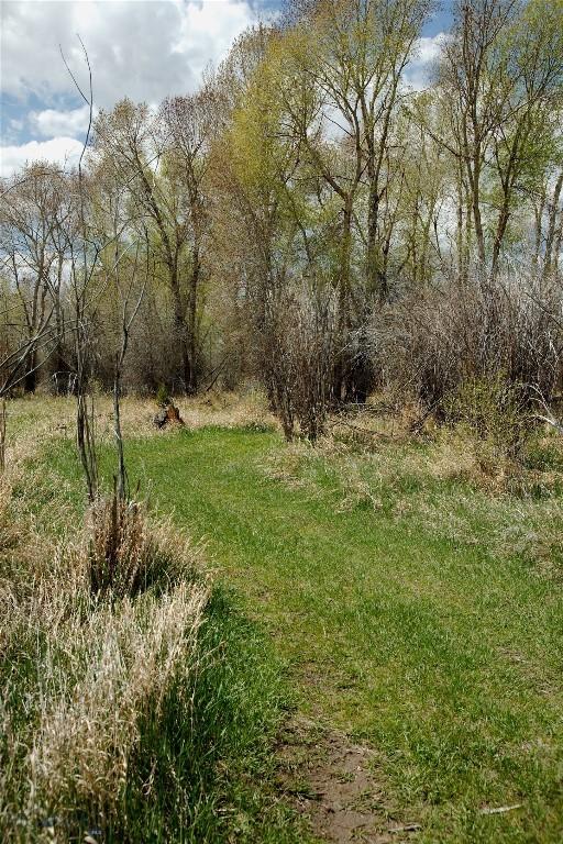 7 N Lewis And Clark Trl, Whitehall, MT 59759 - view of grassy yard