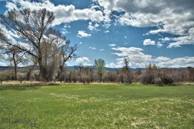 7 N Lewis And Clark Trl, Whitehall, MT 59759 - view of green lawn