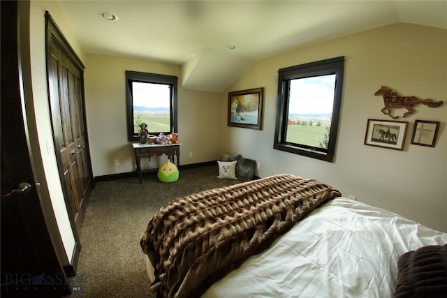7 N Lewis And Clark Trl, Whitehall, MT 59759 - carpeted bedroom featuring vaulted ceiling, multiple windows, and recessed lighting