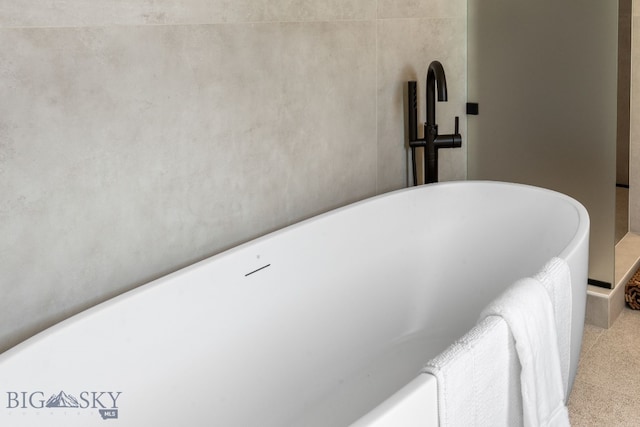 bathroom view of a freestanding tub and carpet