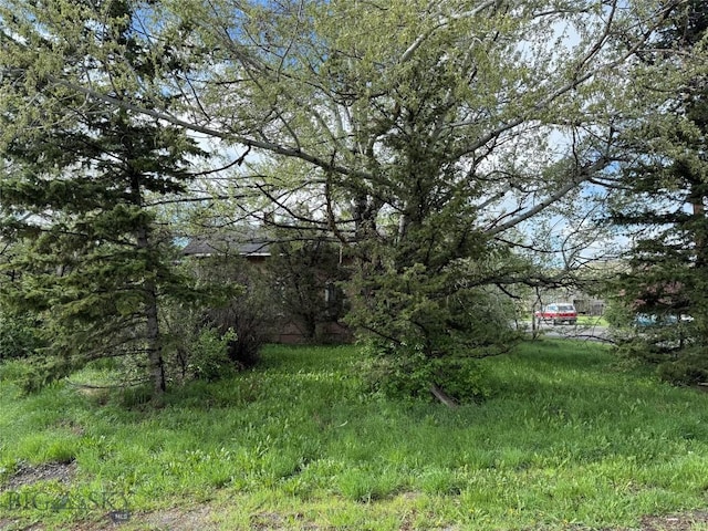 NHN S Pine St, Reed Point, MT 59069 - view of yard