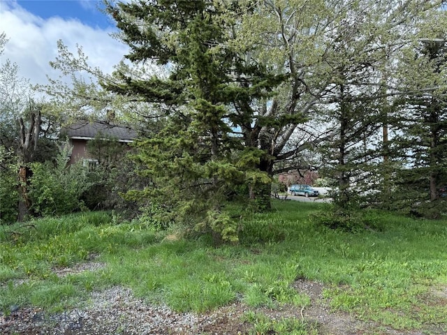 NHN S Pine St, Reed Point, MT 59069 - view of yard