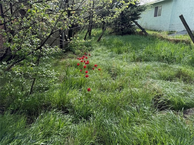 NHN S Pine St, Reed Point, MT 59069 - view of yard