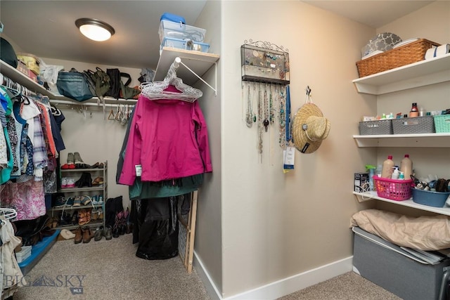 508 Coral Dr, Belgrade, MT 59714 - walk in closet featuring carpet floors