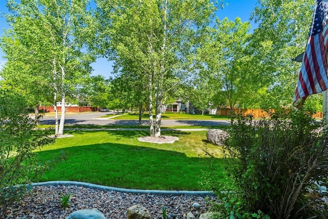 508 Coral Dr, Belgrade, MT 59714 - view of green lawn