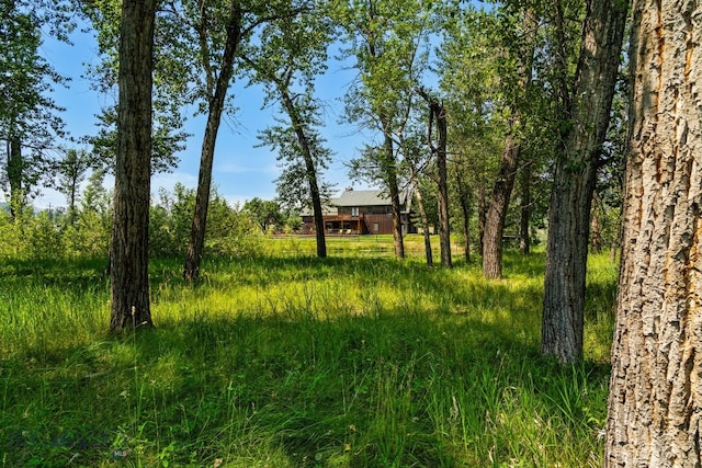 9704 River Rd, Bozeman, MT 59718 - view of undeveloped land