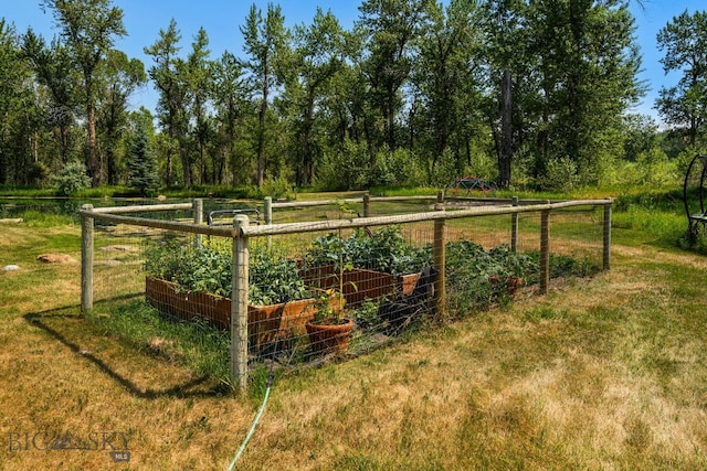 9704 River Rd, Bozeman, MT 59718 - view of grassy yard featuring a garden