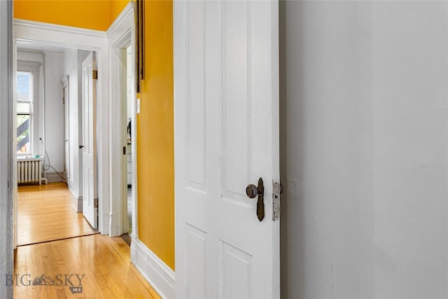 822 W Park St, Butte, MT 59701 - hallway featuring radiator heating unit, light wood-type flooring, and baseboards