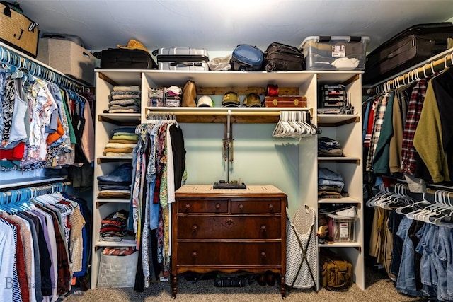 1602 Ingomar Blvd, Belgrade, MT 59714 - walk in closet with carpet floors