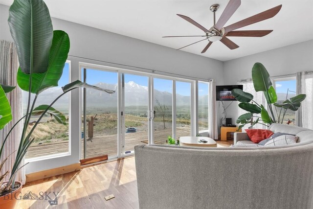 living area featuring ceiling fan and wood finished floors