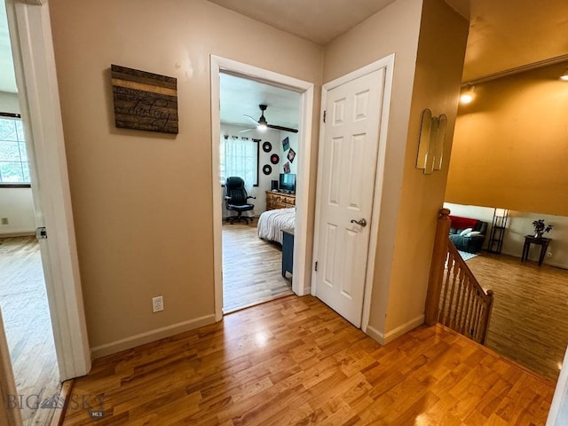 607 Meadowlark Ln, Livingston, MT 59047 - hall with light wood-type flooring, healthy amount of natural light, and baseboards