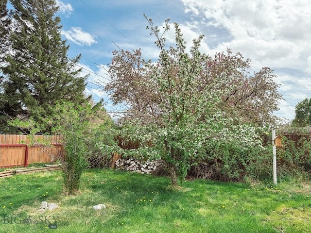 607 Meadowlark Ln, Livingston, MT 59047 - view of yard