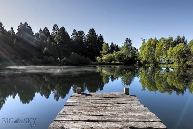 dock with a water view