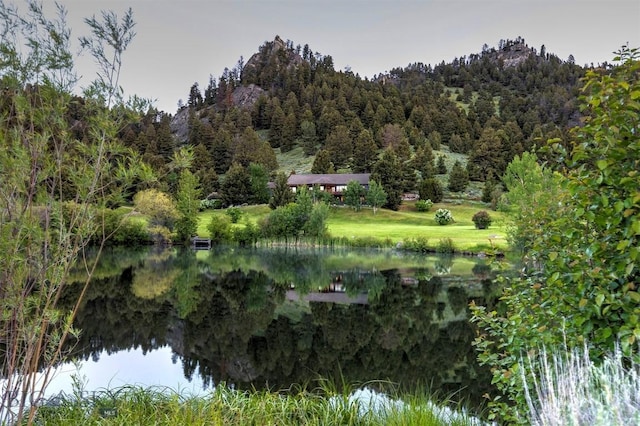 water view featuring a heavily wooded area