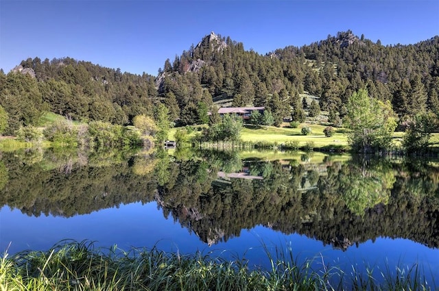 water view featuring a forest
