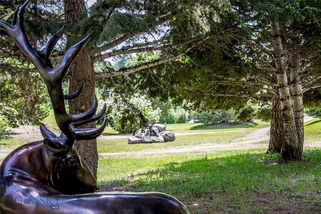 952 N Meadow Creek Rd, Mcallister, MT 59740 - view of grassy yard