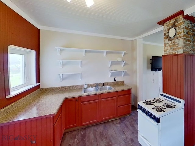 401 E 2nd Ave, Big Timber, MT 59011 - kitchen featuring open shelves, white range with gas stovetop, a sink, dark wood-type flooring, and crown molding