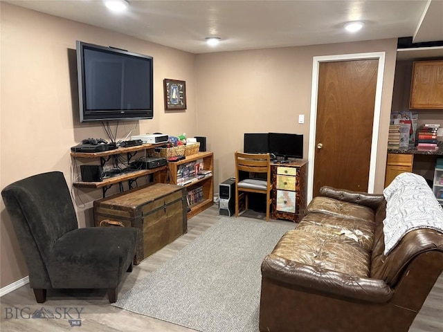 living area featuring light wood-style floors