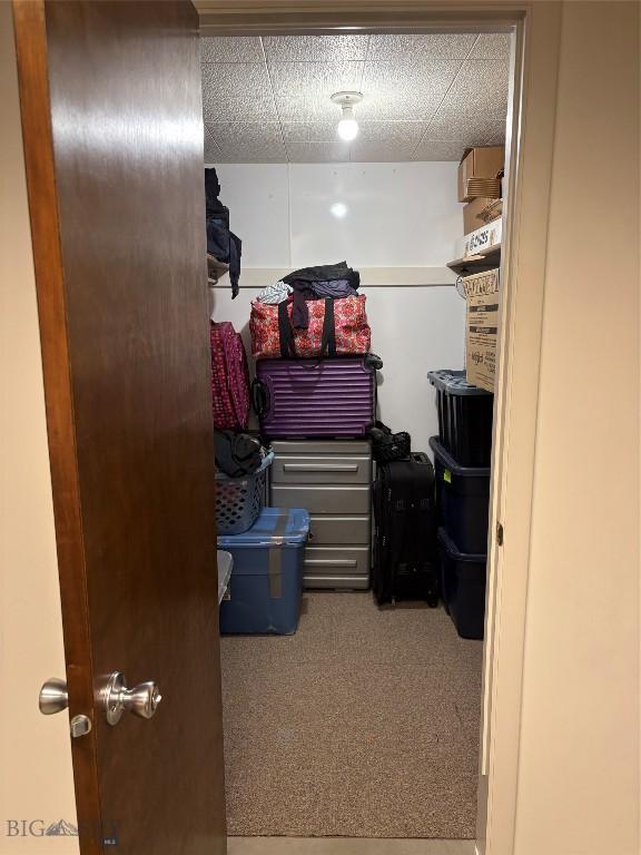 spacious closet with carpet floors