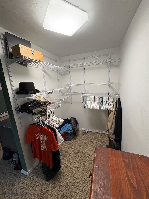 spacious closet featuring carpet floors