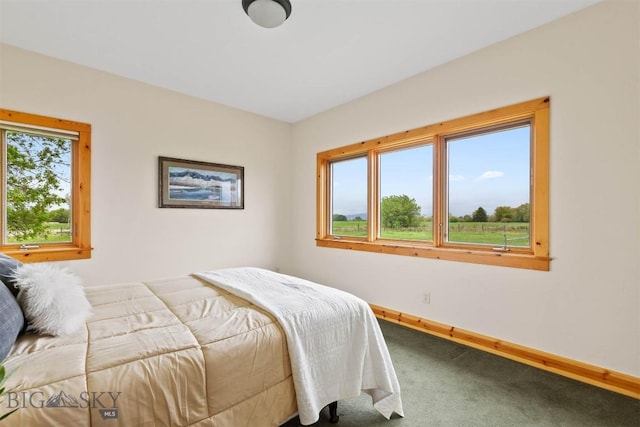 64 Shandalyn Ln, Bozeman, MT 59718 - carpeted bedroom featuring baseboards