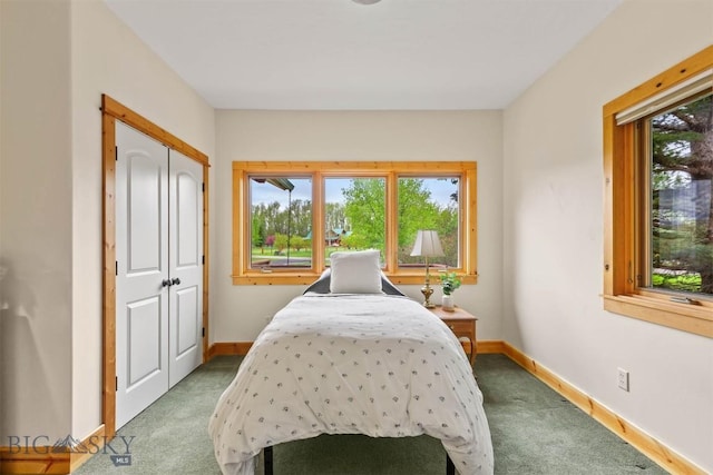 64 Shandalyn Ln, Bozeman, MT 59718 - bedroom featuring multiple windows, light carpet, and baseboards