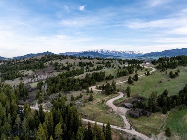 449 Minni Hall Rd, Bozeman, MT 59715 - view of mountain background