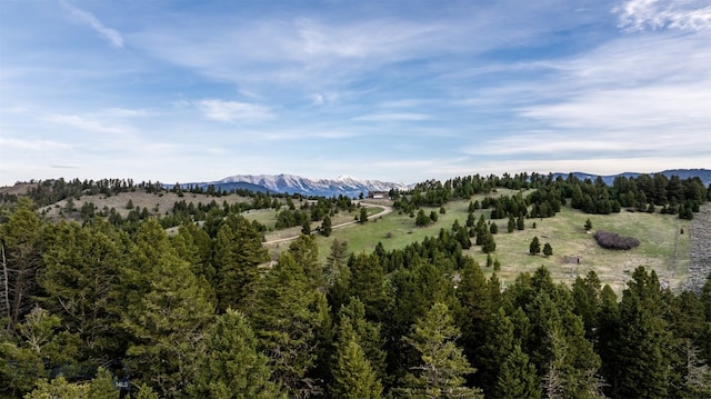 449 Minni Hall Rd, Bozeman, MT 59715 - view of mountain background