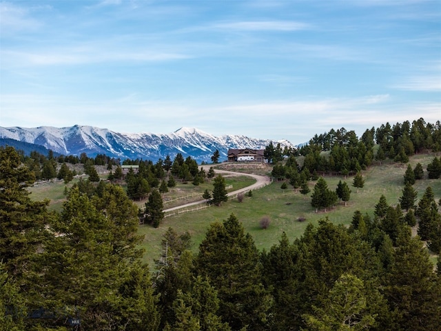 449 Minni Hall Rd, Bozeman, MT 59715 - view of mountain background