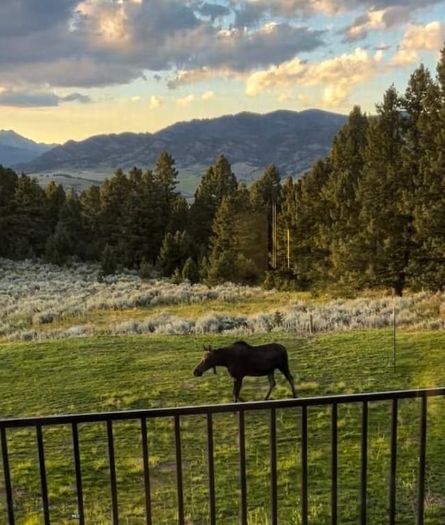 449 Minni Hall Rd, Bozeman, MT 59715 - view of mountain background with rural landscape and a forest