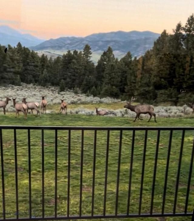 449 Minni Hall Rd, Bozeman, MT 59715 - view of mountain backdrop with a forest