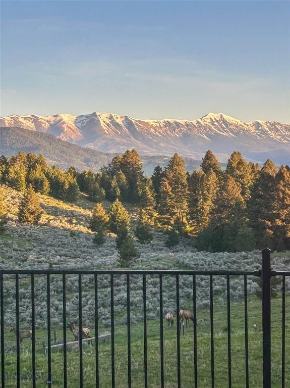 449 Minni Hall Rd, Bozeman, MT 59715 - mountain view