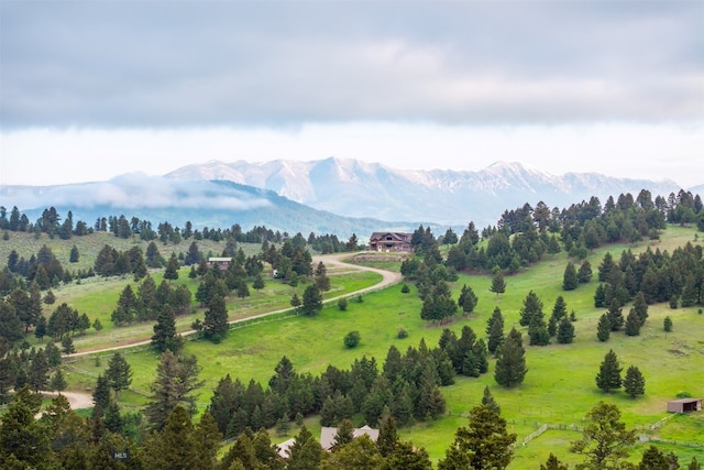 449 Minni Hall Rd, Bozeman, MT 59715 - mountain view featuring rural landscape