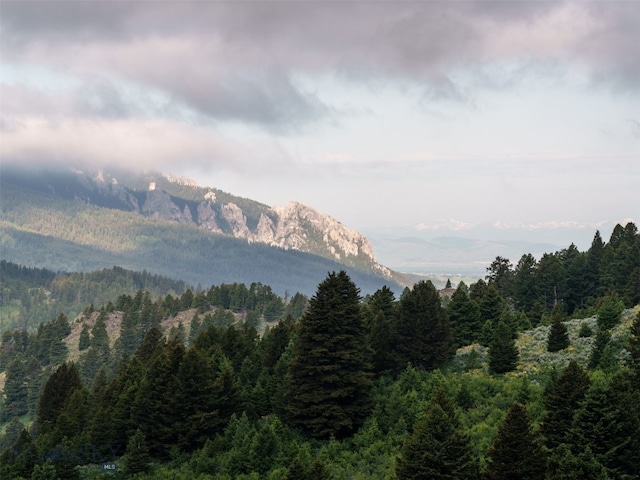 449 Minni Hall Rd, Bozeman, MT 59715 - mountain view featuring a forest