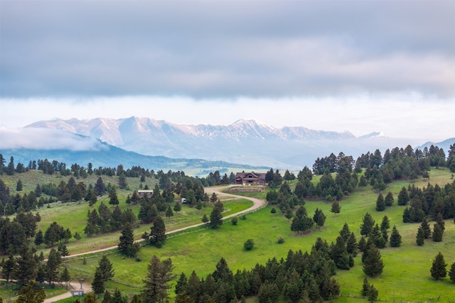 449 Minni Hall Rd, Bozeman, MT 59715 - view of mountain background featuring rural landscape