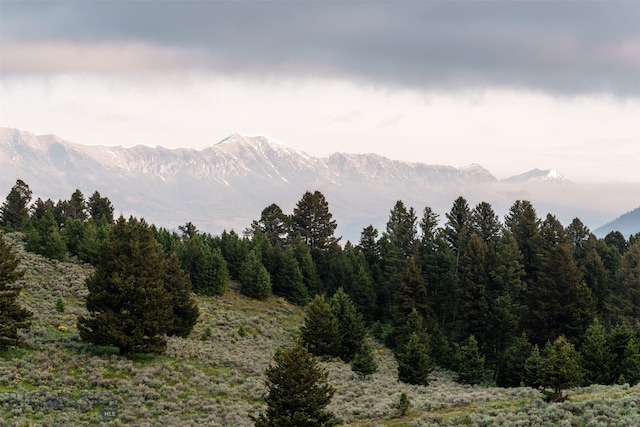 449 Minni Hall Rd, Bozeman, MT 59715 - mountain view