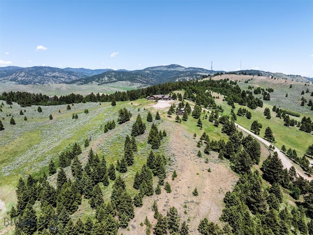 449 Minni Hall Rd, Bozeman, MT 59715 - photo 67