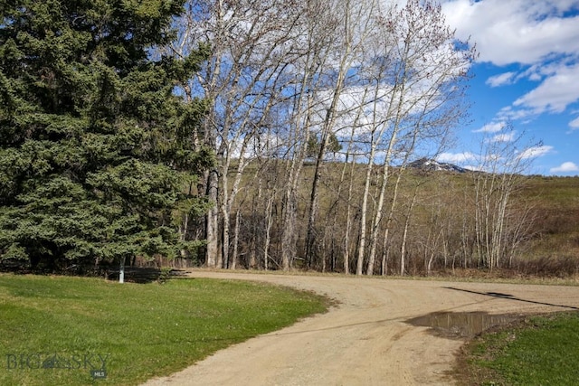 185 Elk Creek Rd N, Wilsall, MT 59086 - view of dirt / gravel road with a wooded view